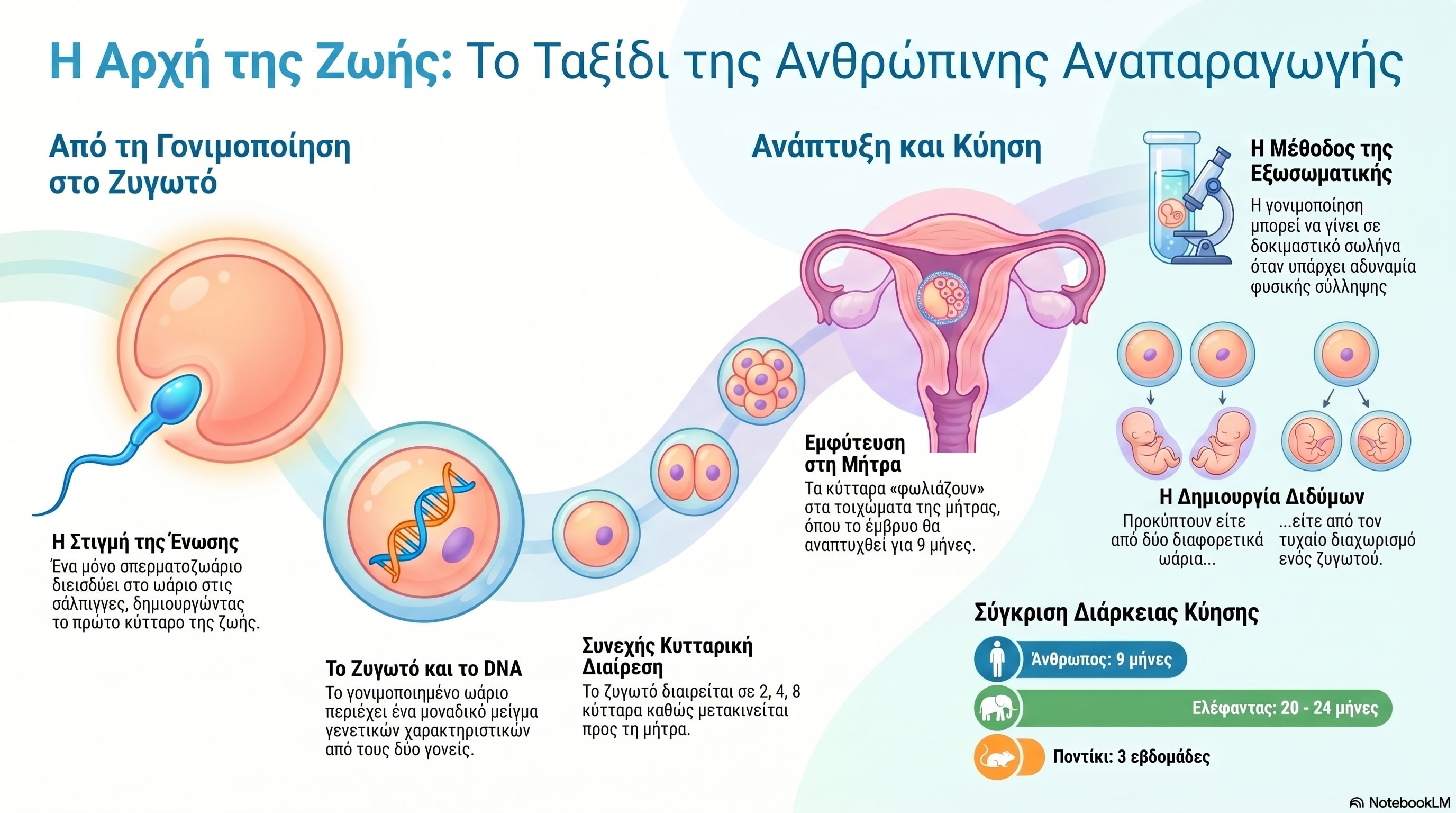 11.01 Η αρχή της ζωής