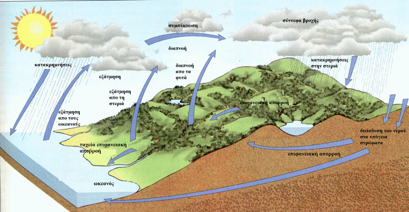 water cycle an