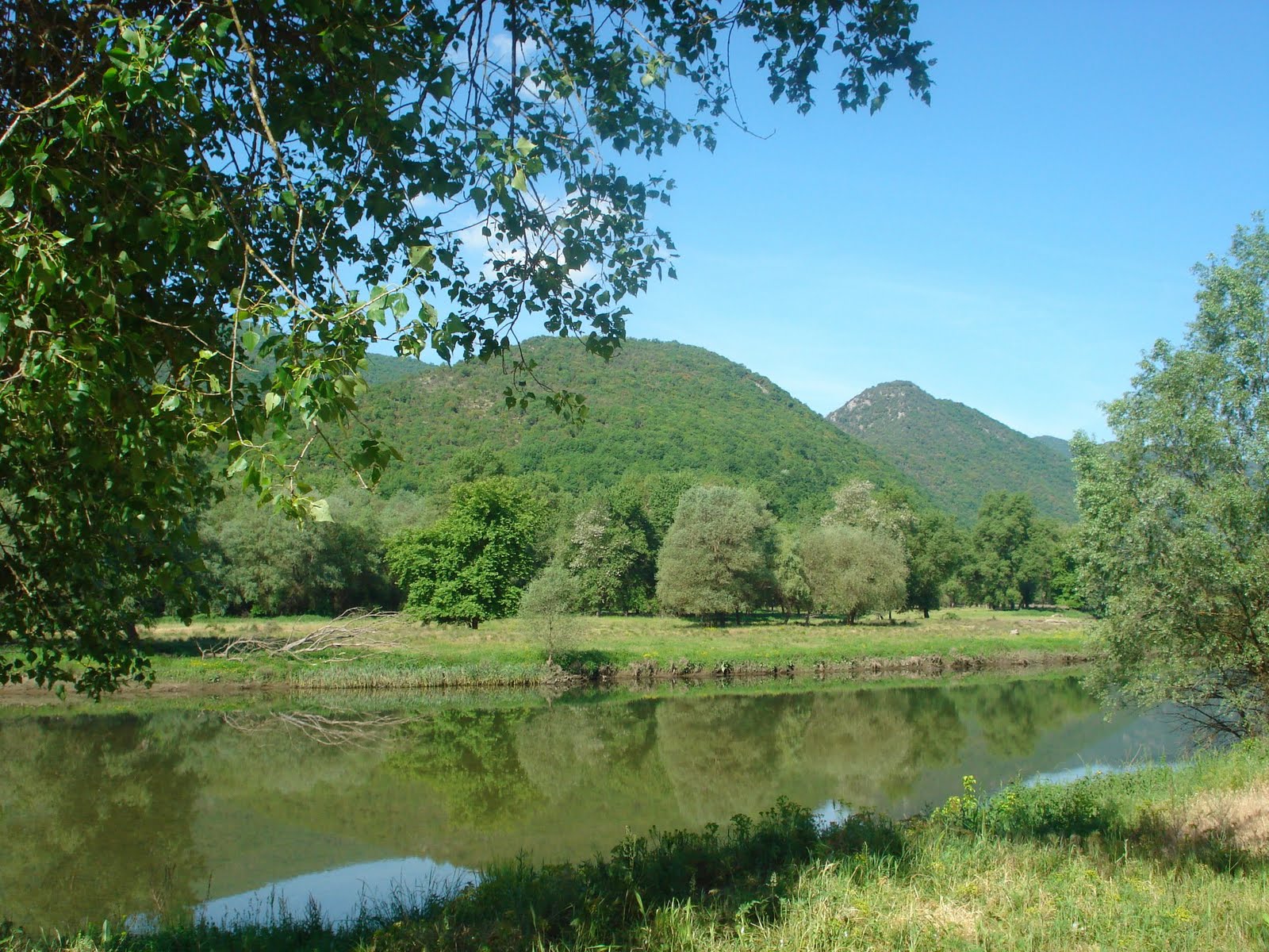 nestos