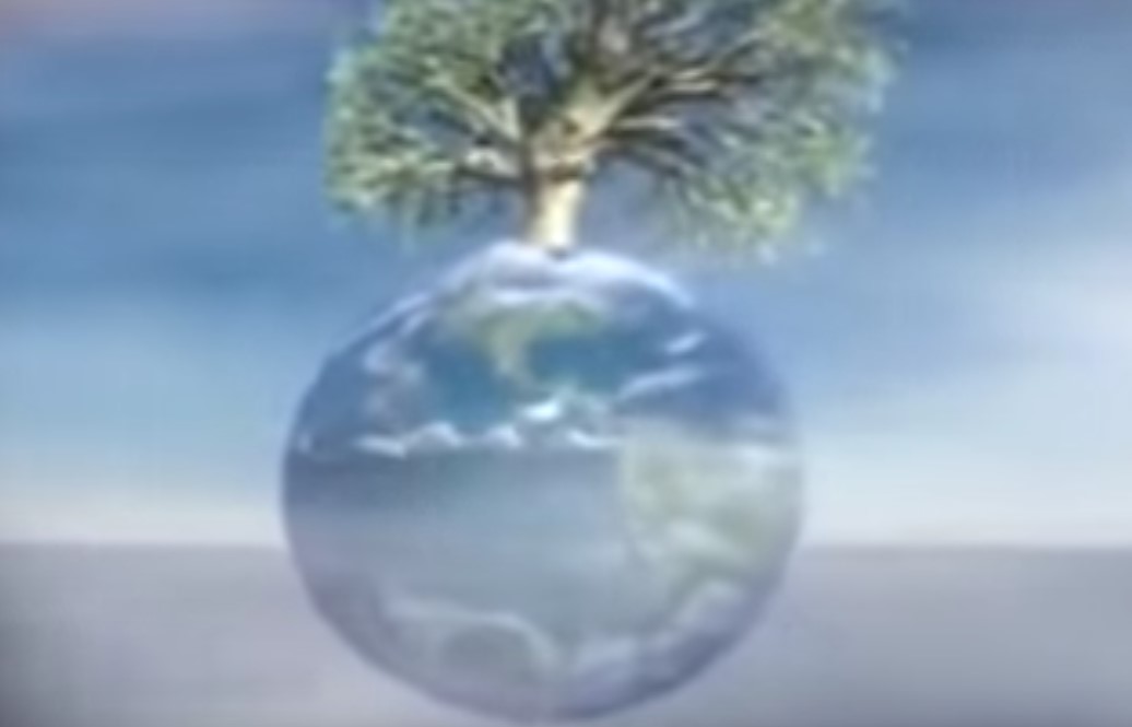 ananewsimes video