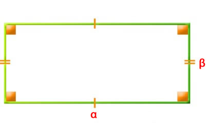 rectangle branded