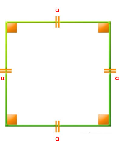 square branded