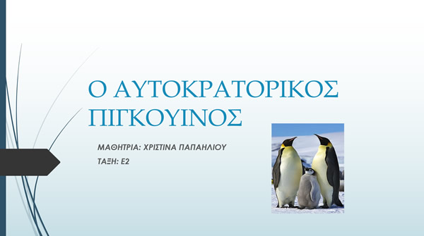 penguins