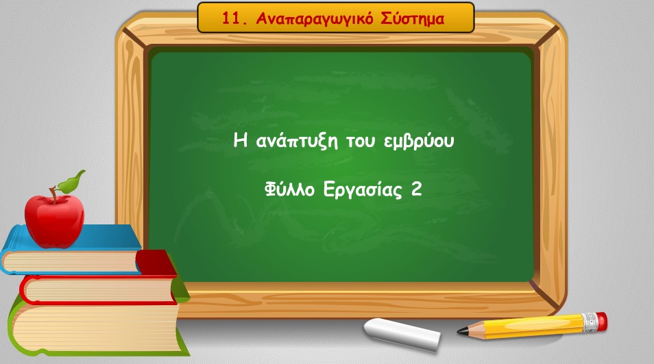 11 02 I anaptyxi tou emvryou