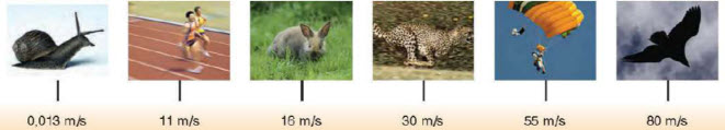 tahytites 1