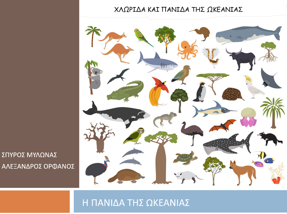 10 panida 